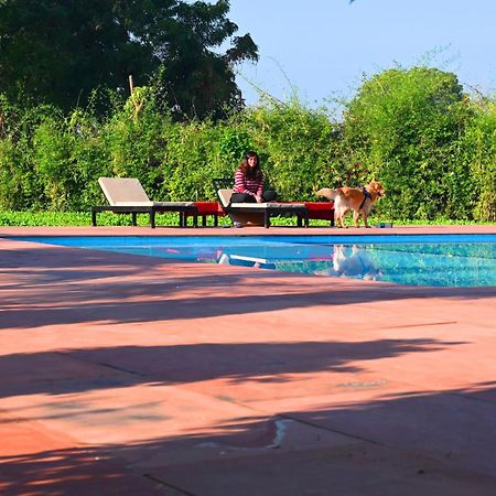 Hotel Motibagh Sawai Madhopur Exterior foto